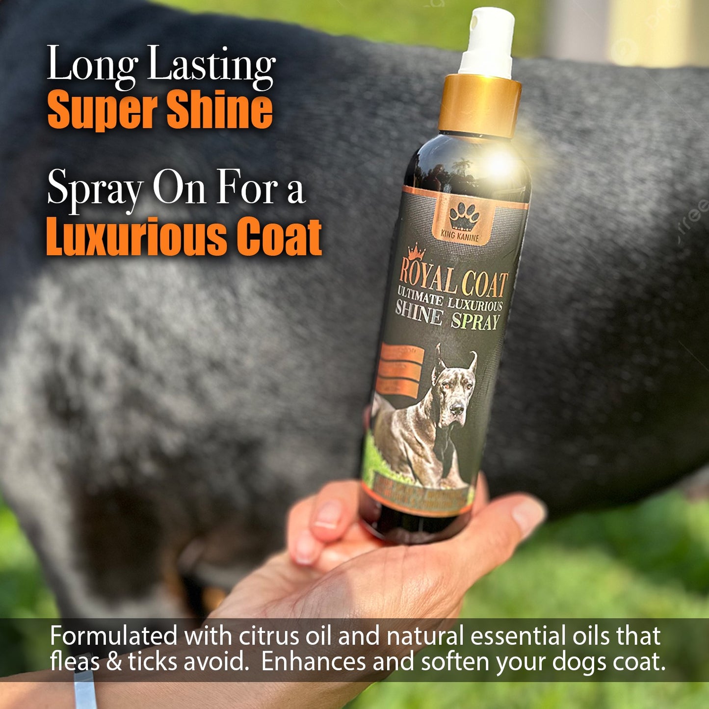 NEW!!! Royal Coat Ultimate Luxurious SHINE SPRAY - dogs only